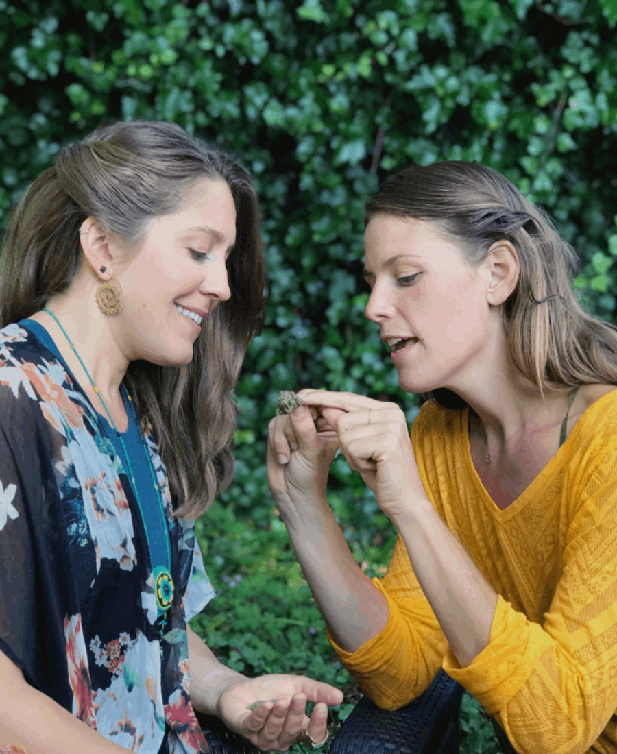 Meet-the-cannabis-coach